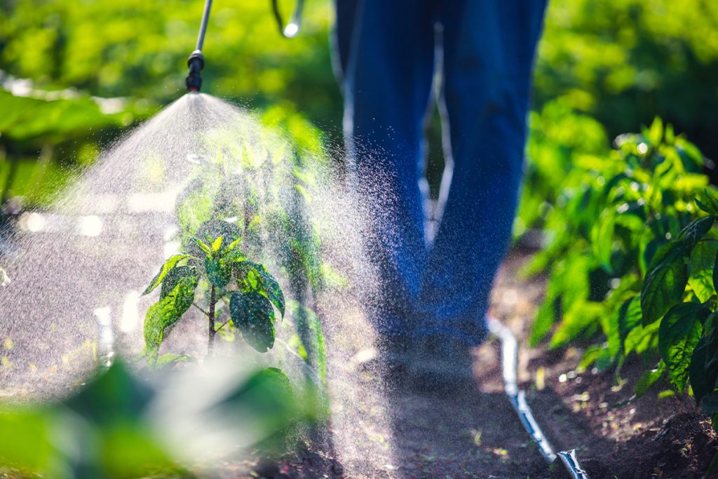 KEITS News, Events and Updates - New Pesticide Regulations