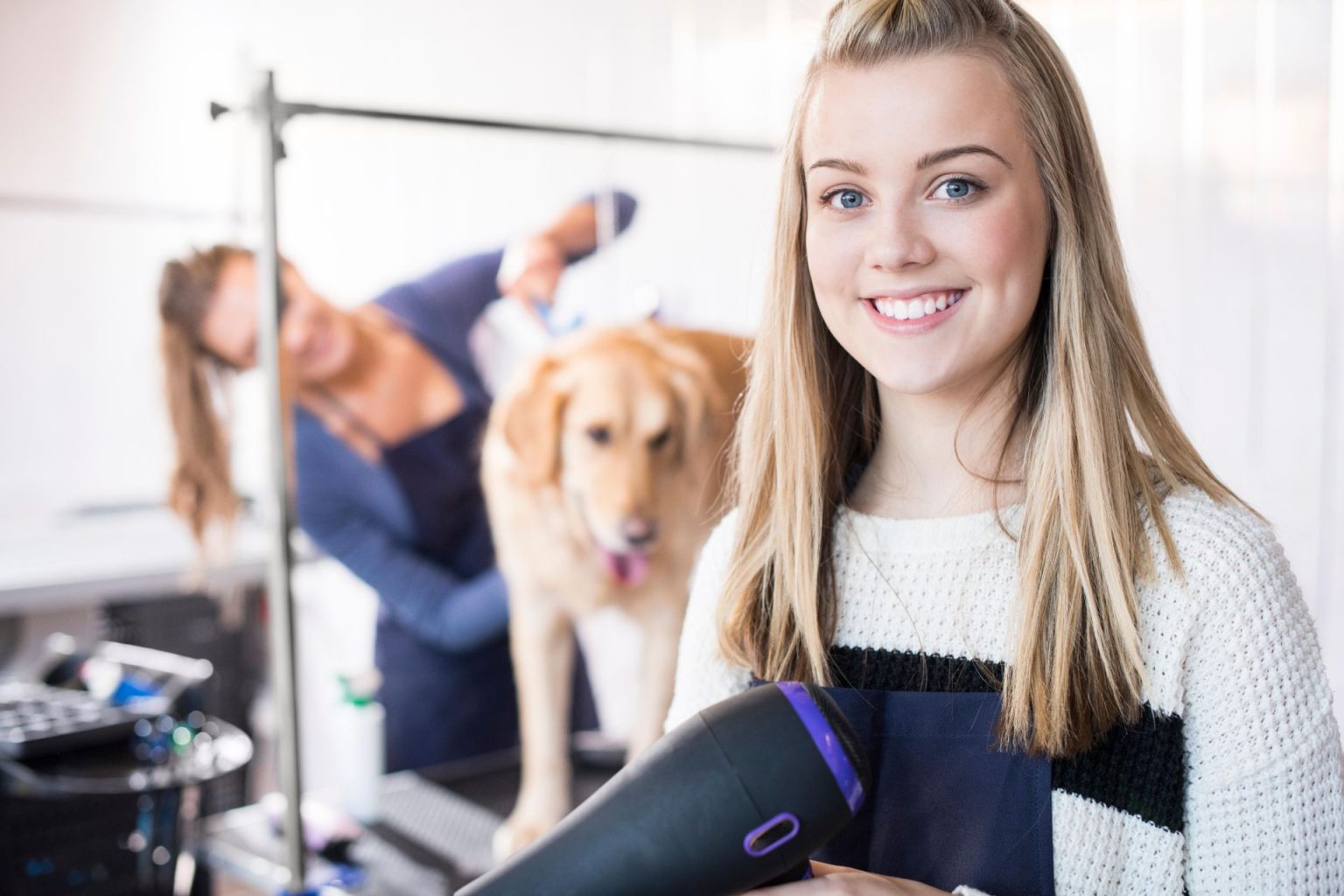 Keits Apprentice Jobs and Courses in Dog Grooming