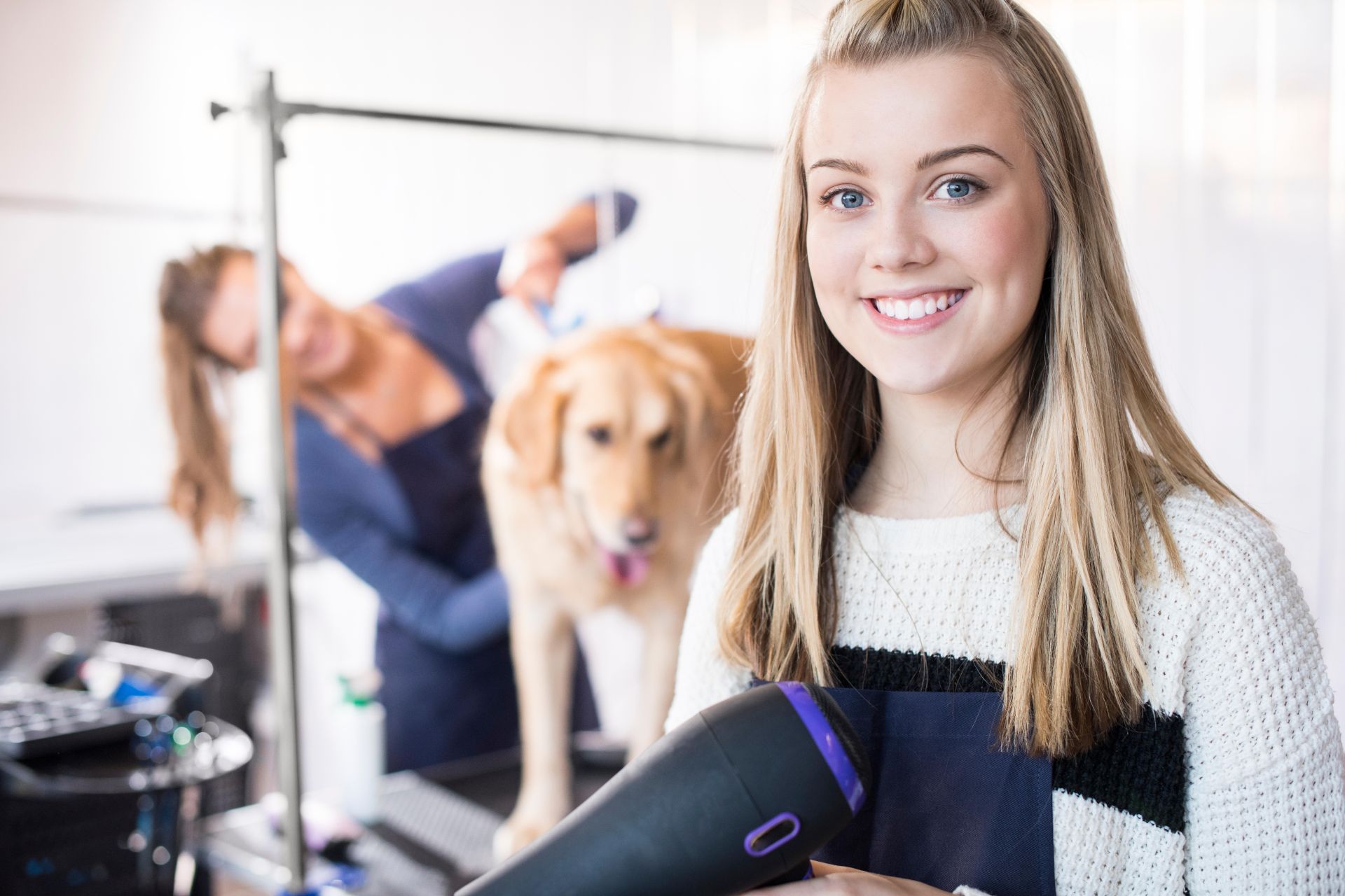 Keits - Apprentice Jobs and Courses in Dog Grooming