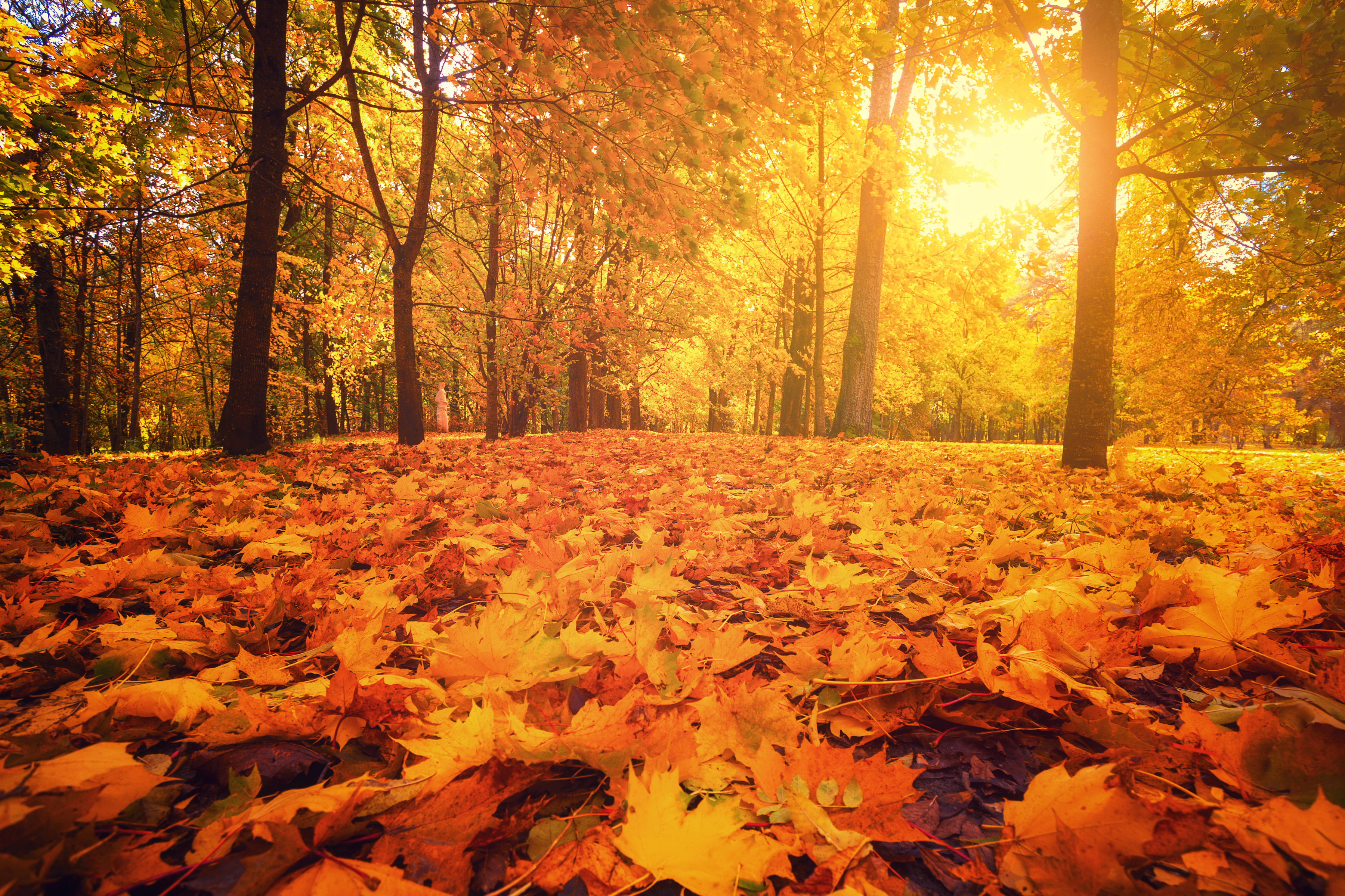 KEITS Apprenticeships, Jobs and Training Services - Autumn Newsletter 2021