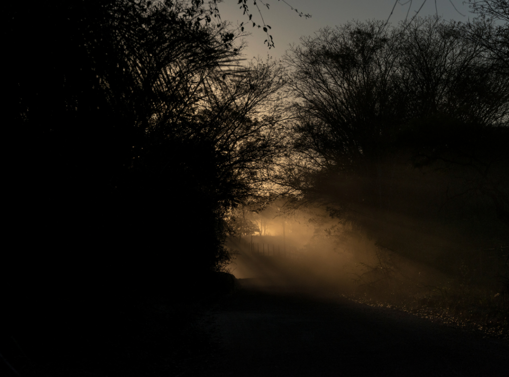 Stay safe in the dark