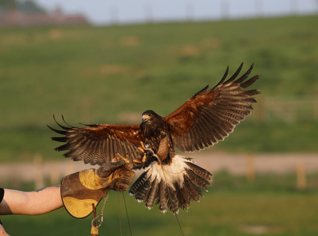 KEITS Special Recognition Award! KEITS