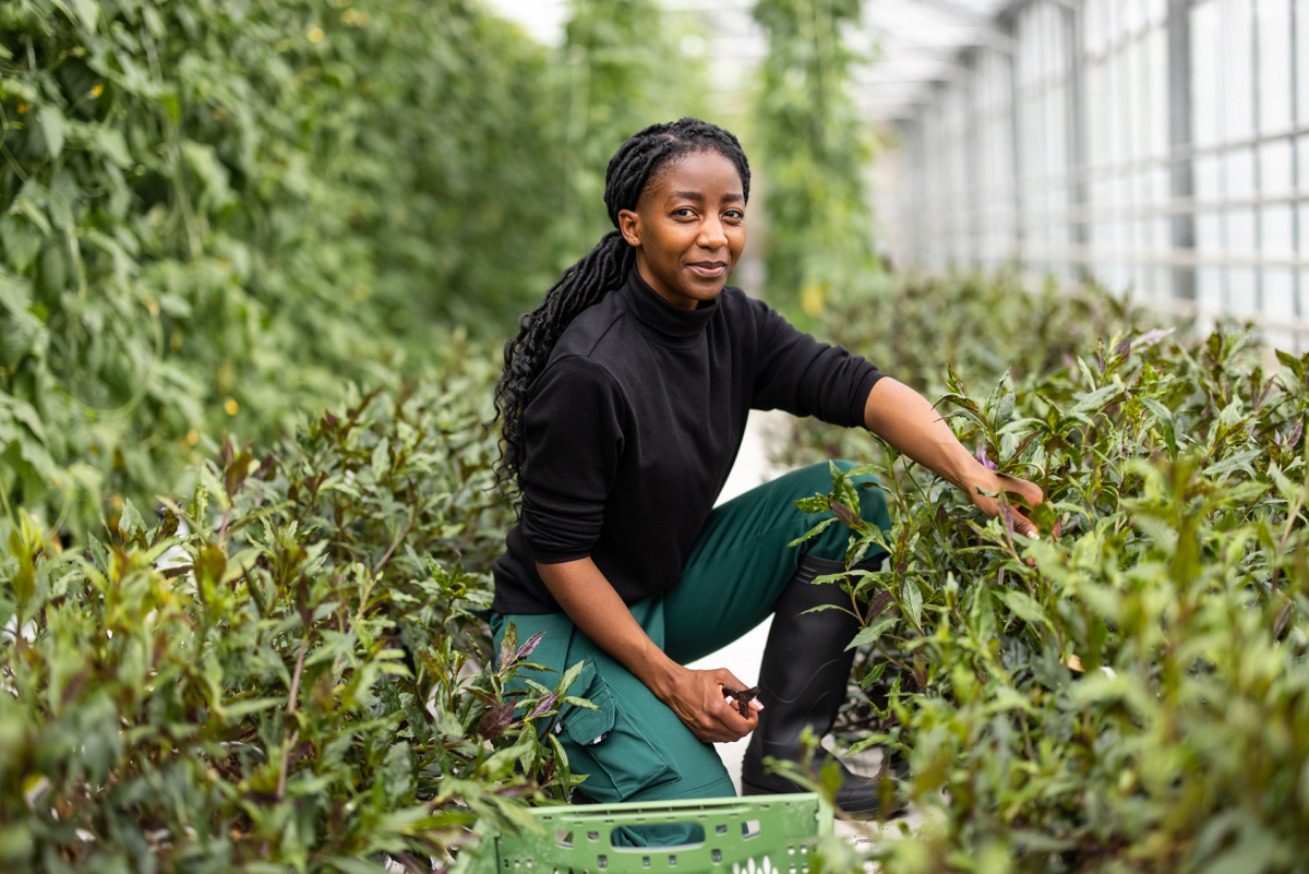 Horticulture apprenticeship