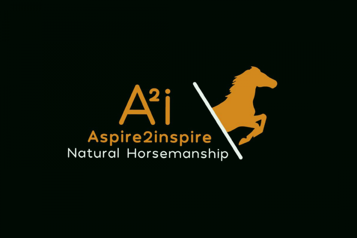 A2i Natural Horsemanship