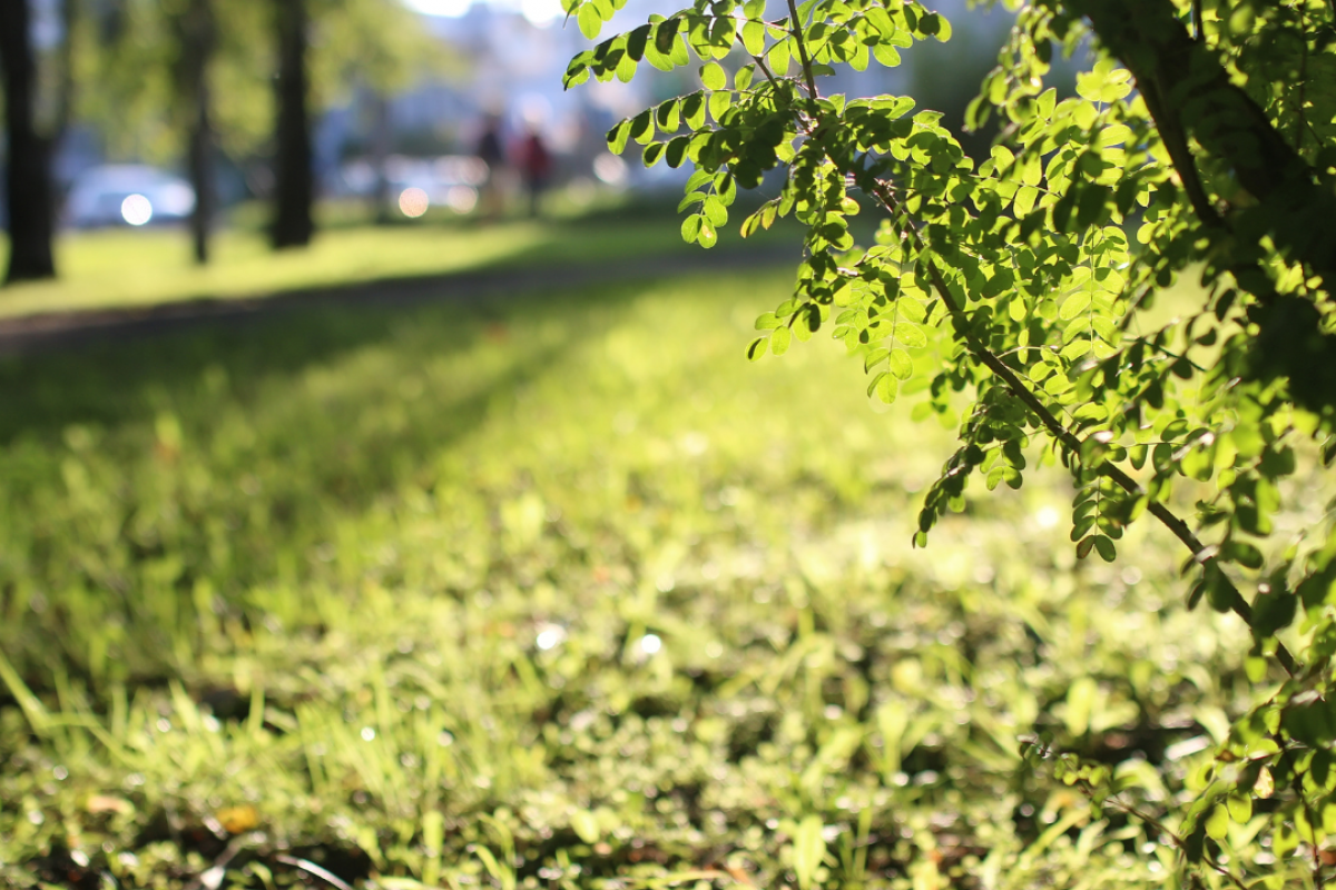 Blog Main Images (8)