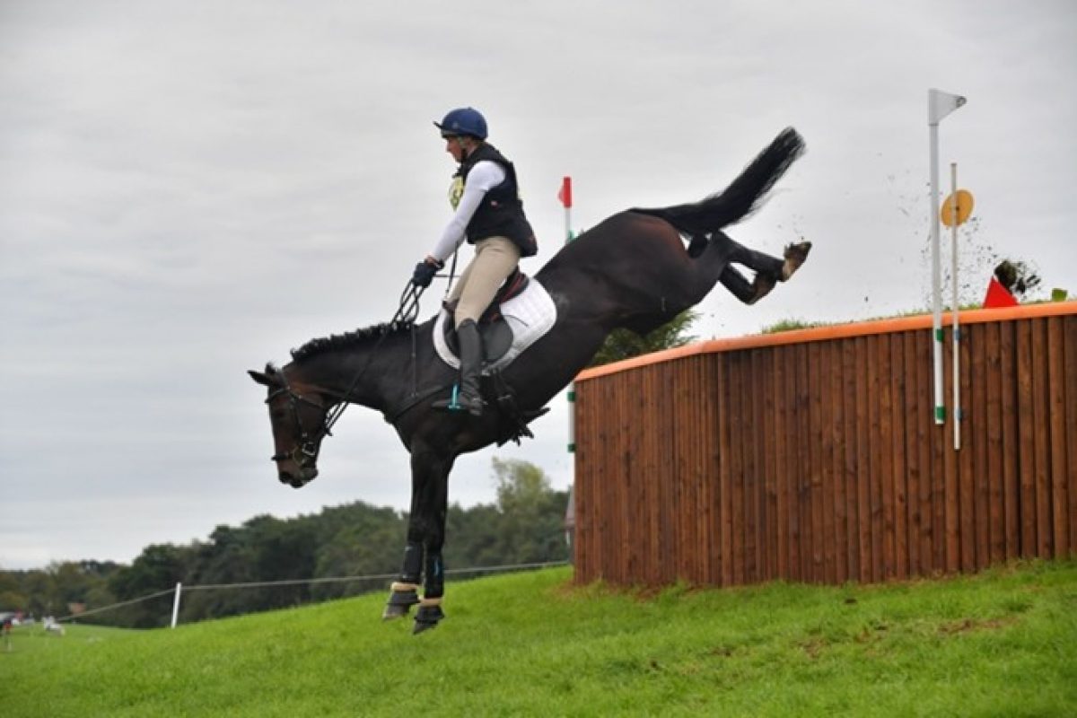 Tangletrees Stables 1