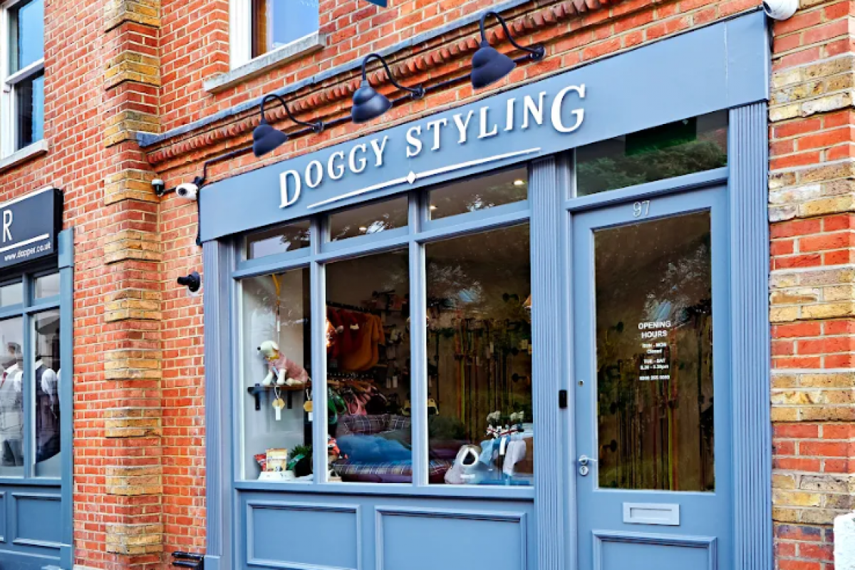 doggy styling shop
