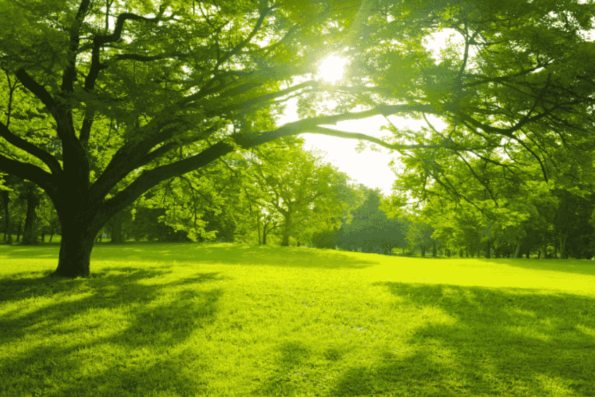 event page image entries (45)